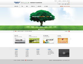 北京网站设计与网络信息安全软件开发 案例探析