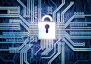 网络与信息安全软件开发 守护数字世界的基石